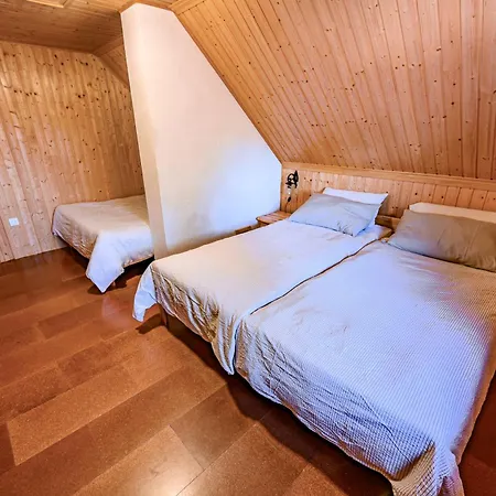 Relax House Avus With Sauna Slap ob Idrijci